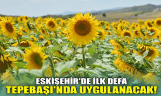 Eskişehir'de ilk defa Tepebaşı'nda uygulanacak!