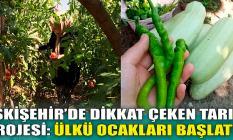 Eskişehir'de dikkat çeken tarım projesi! Ülkücüler başlattı...
