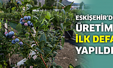 Eskişehir'de üretimi ilk defa yapıldı!