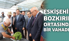 "Eskişehir bugün bozkırın ortasında bir vahadır"
