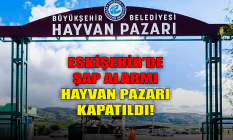 Eskişehir'de şap alarmı! Hayvan pazarı kapatıldı