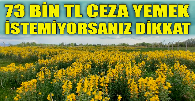 73 bin TL ceza yemek istemiyorsanız dikkat