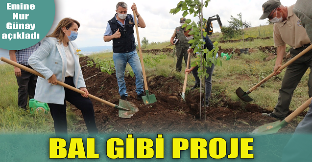 Emine Nur Günay açıkladı: Bal gibi projede sona yaklaşıldı