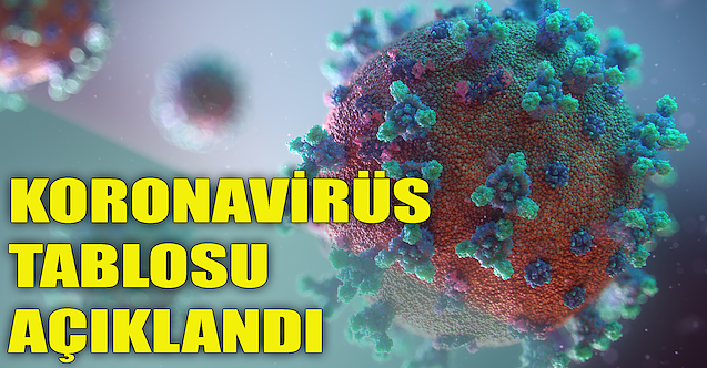 Koronavirüs tablosu açıklandı - 17 Haziran 2021 Perşembe