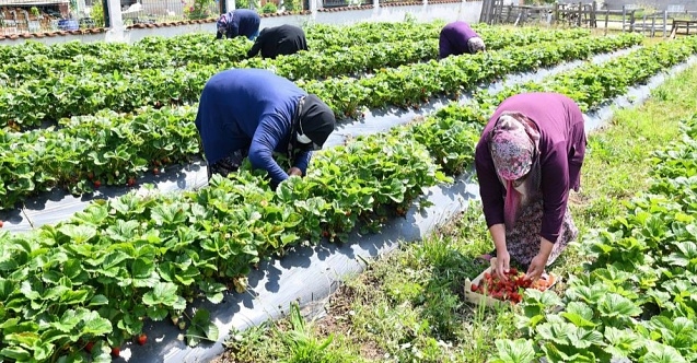 Tepebaşı#039;nda kadınların emeği karşılıksız kalmıyor