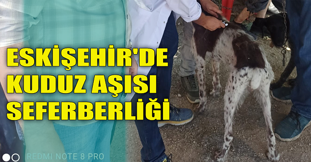Eskişehir#039;de kuduz aşısı seferberliği