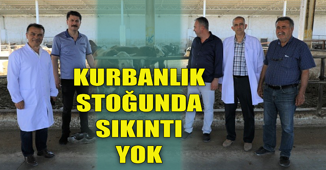 Kurbanlık stoğunda sıkıntı yok
