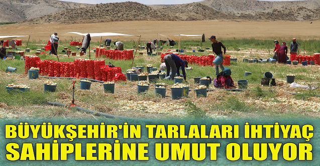 Büyükşehir#039;in tarlaları ihtiyaç sahiplerine umut oluyor