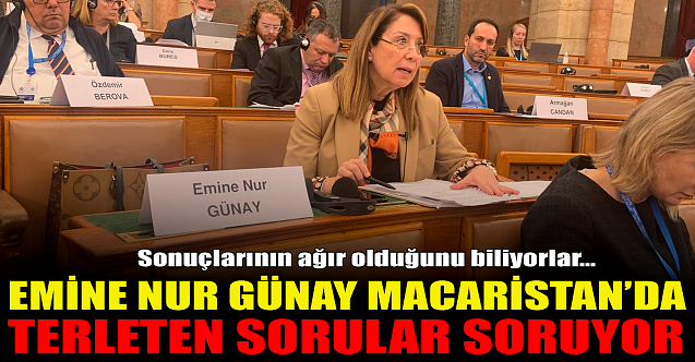 AK Partili Günay Macaristan#039;da! Terleten sorular soruyor...