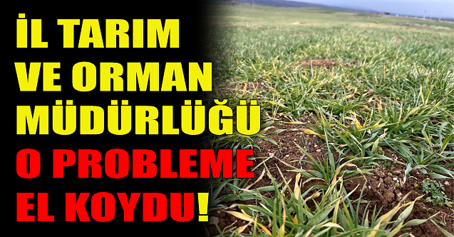 İl Tarım ve Orman Müdürlüğü o probleme el koydu!