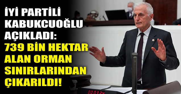 739 bin hektar alan orman sınırlarının dışına çıkarıldı!