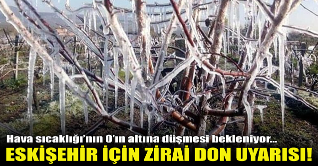 Eskişehir için zirai don ve kırağı uyarısı!