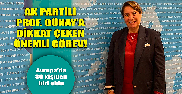 AK Partili Emine Nur Günay#039;a dikkat çeken görev!