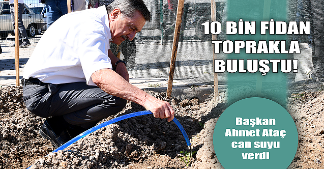 Tepebaşı#039;nda 10 bin fidan toprakla buluştu!