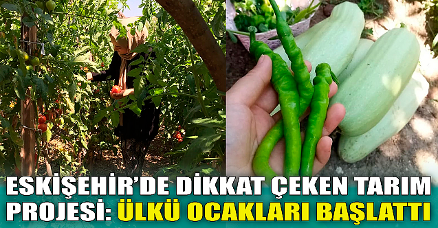 Eskişehir#039;de dikkat çeken tarım projesi! Ülkücüler başlattı...