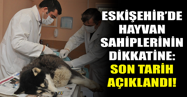 Eskişehir#039;de hayvan sahiplerinin dikkatine: Son tarih açıklandı!
