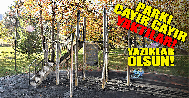 Eskişehir#039;de o parkı cayır cayır yaktılar!