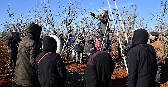 Eskişehir#039;de üreticilere budama eğitimi