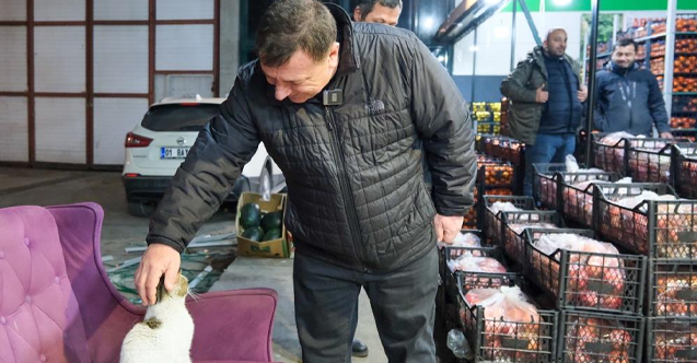 Özkan Alp: Odunpazarında hayvanlarımız sahipsiz kalmayacak”