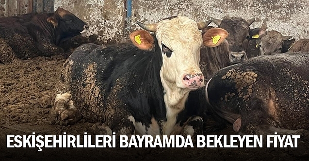 Eskişehirlileri kurban bayramında bekleyen fiyatlar
