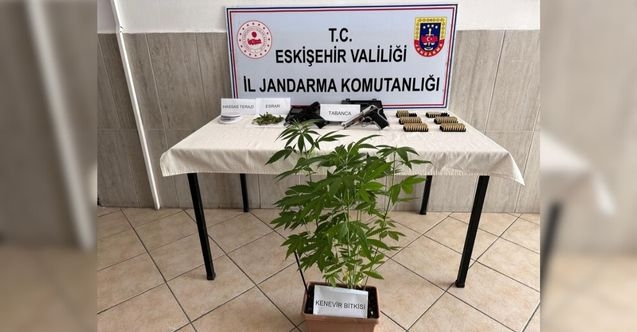 Evinde Kenevir Yetiştirdi
