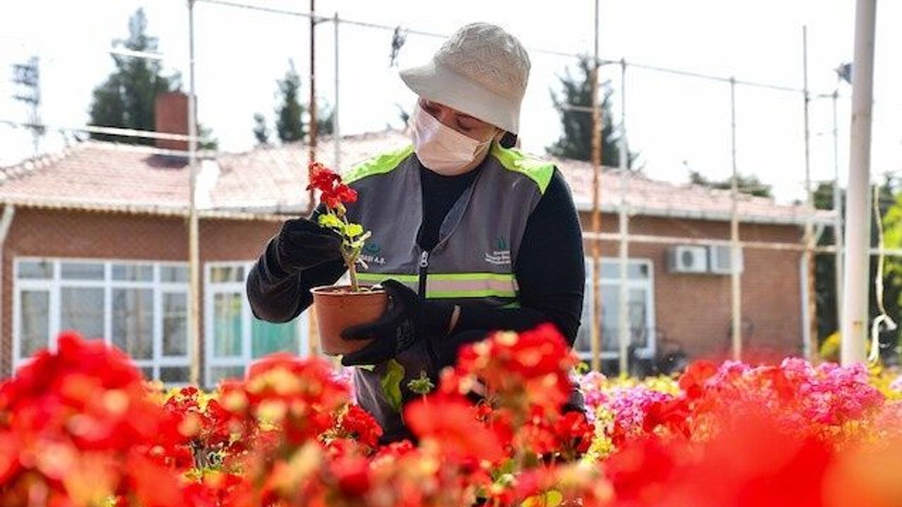 Tepebaşı rengarenk oluyor