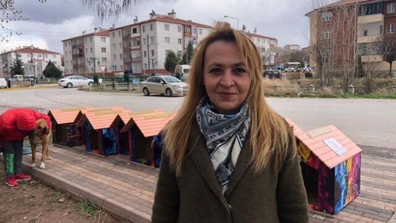 Sıcak yuvaları hazır