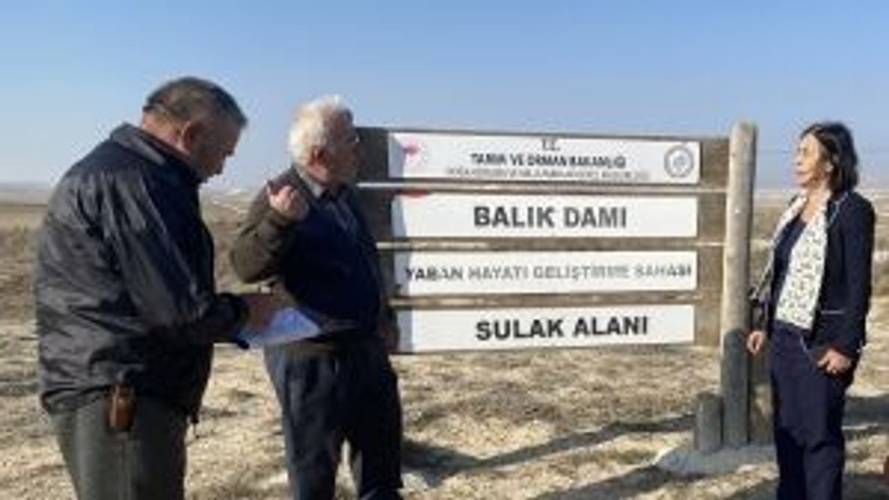 Balıkdamı Kuş Cenneti yok olmanın eşiğinde!