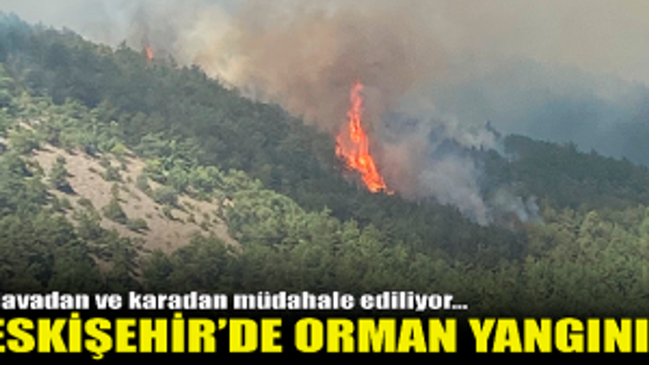 Eskişehir'de orman yangını!