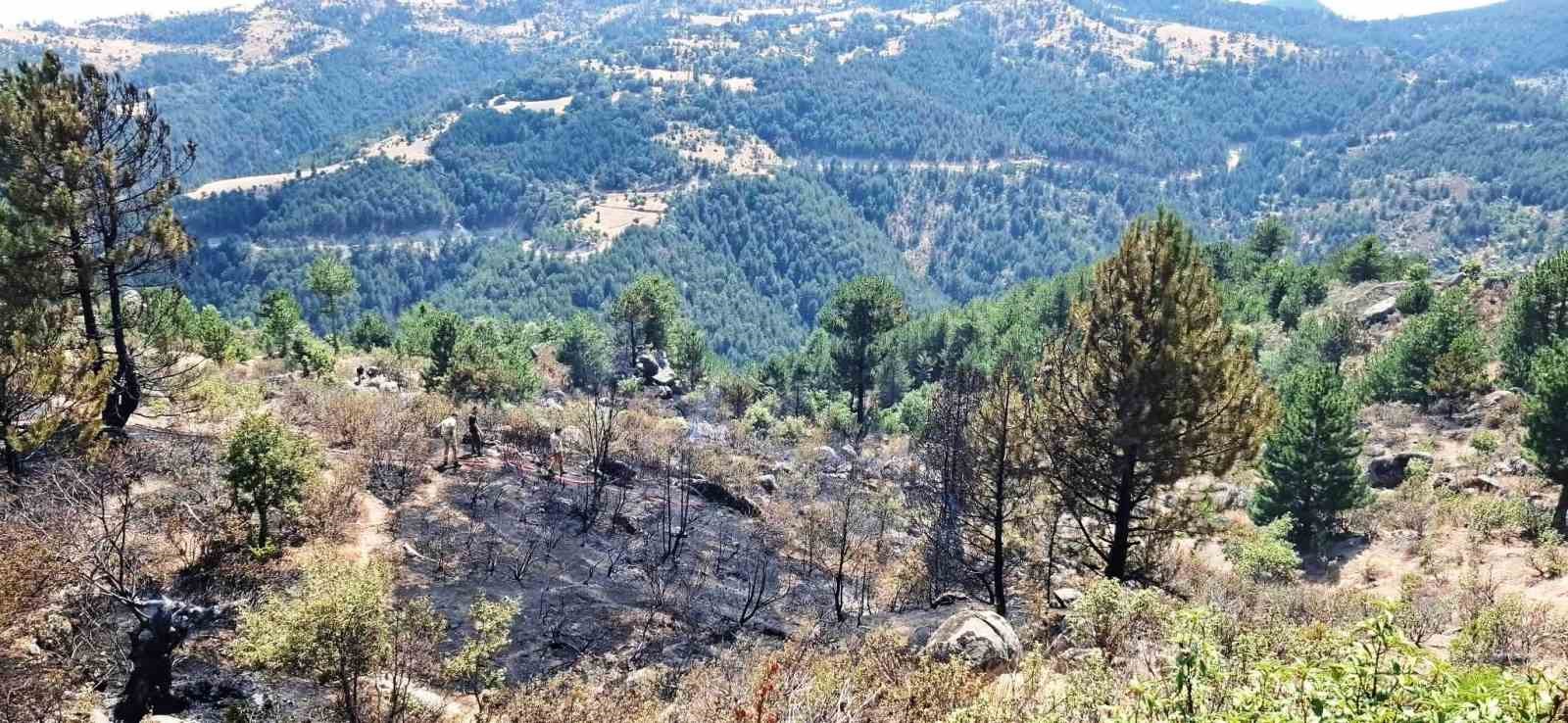 Emet’te çıkan orman yangınında 2 hektar alan zarar gördü