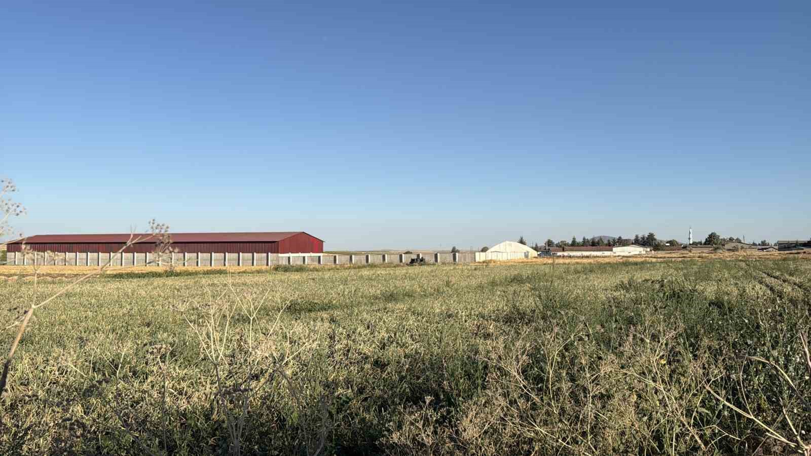Odunpazarı’nda tarım arazisinde mühimmat bulundu: Kontrollü şekilde imha edilecek