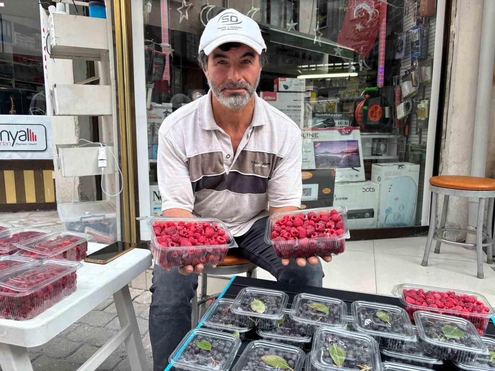 Kıraç arazileri aronya ve ahududugil yetiştirerek değerlendirdi