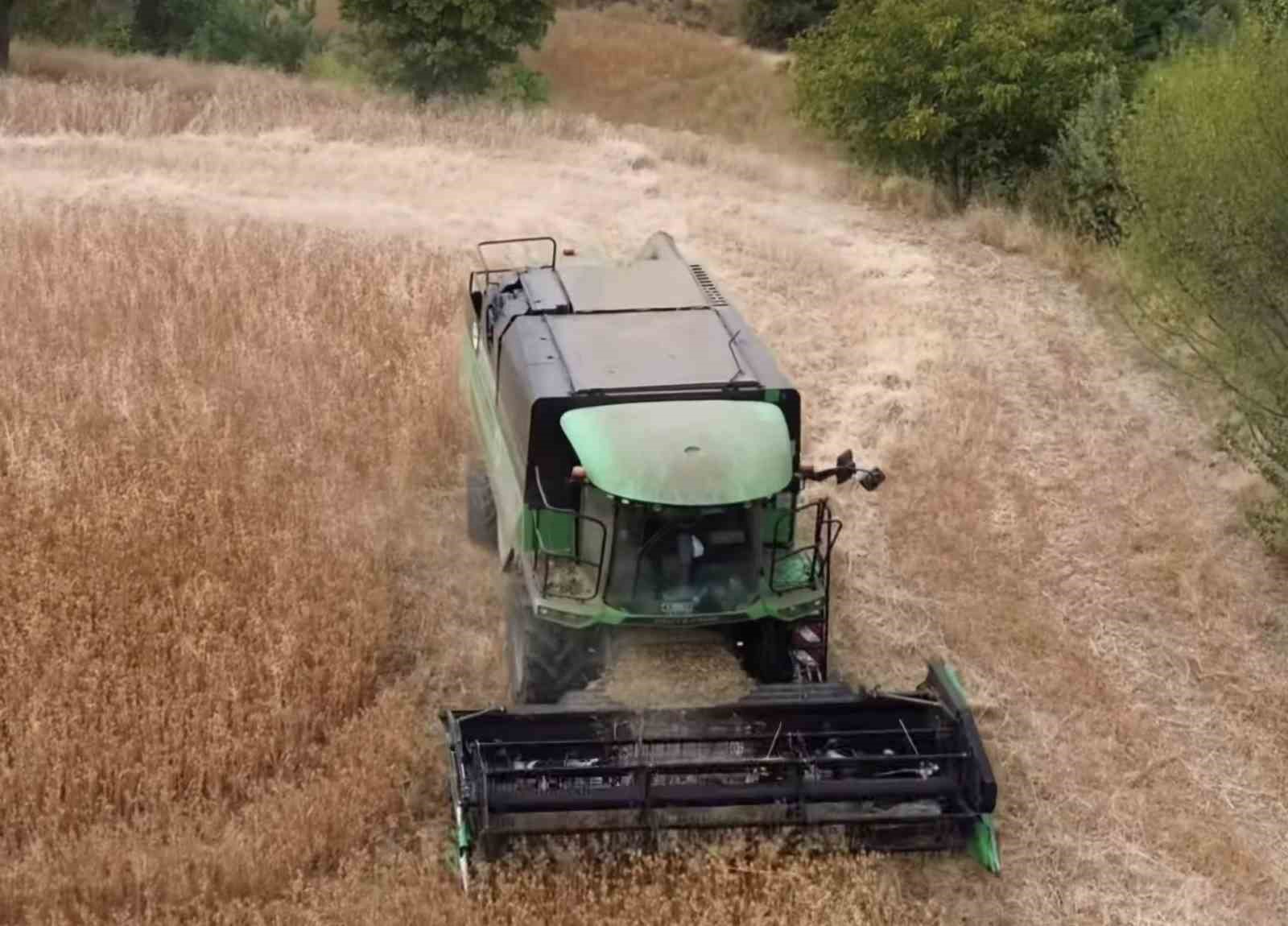 Tavşanlı’da aspir hasadı devam ediyor