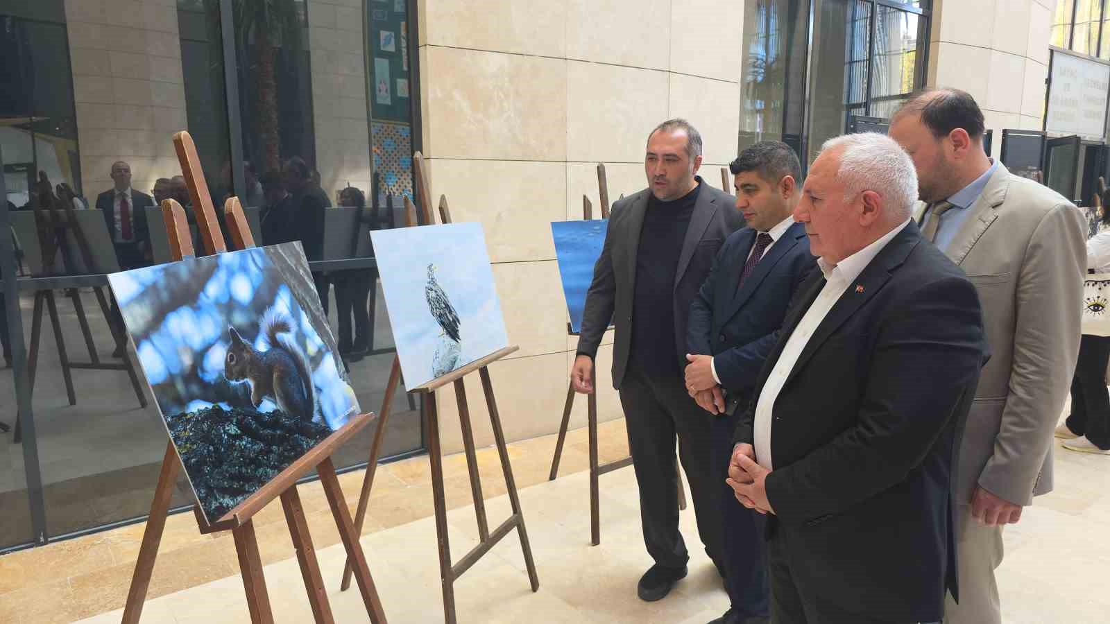 Kütahya’nın yaban hayatı fotoğraflarla gözler önüne seriliyor