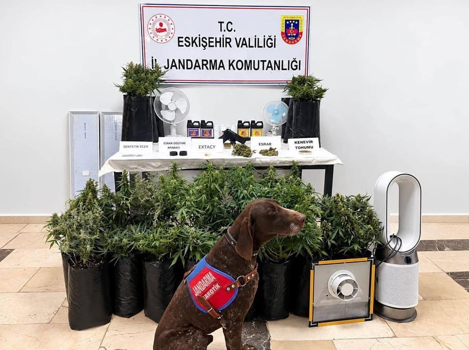Eskişehir’de 21 poşet kenevir ve çok sayıda uyuşturucu madde jandarma tarafından ele geçirildi