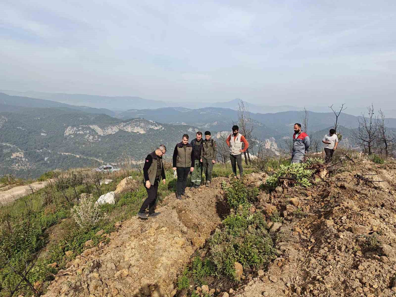 Bilecik’te yangınla küle dönen alanlar yeniden yeşeriyor