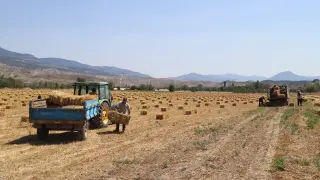 Büyükşehirden üreticiye can suyu