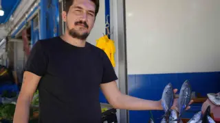 Bu sene vatandaşlar palamuda doyacak