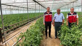 Simav’da seracılık faaliyetleri yerinde incelendi