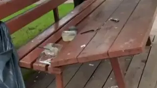 Parka zarar veren vandallara, vatandaş böyle tepki gösterdi