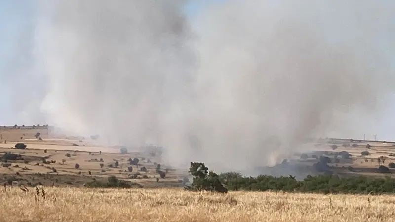 Seyitgazi Belediye Başkanı Uğur Tepe’den acil yardım çağrısı: Yangın büyüyor!