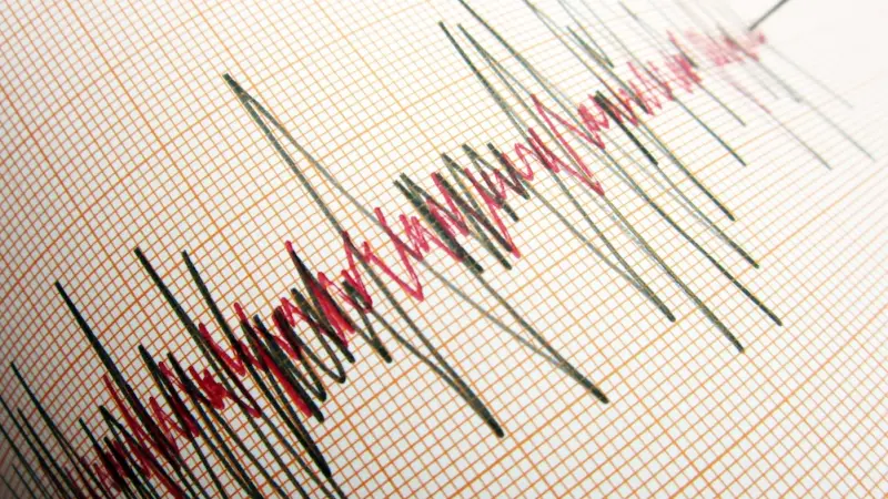Japonya'da 7.1 büyüklüğünde deprem