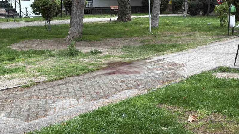 Alkol aldıkları sırada çıkan tartışmada arkadaşını bıçakla ağır yaralayan şüpheli yakalandı