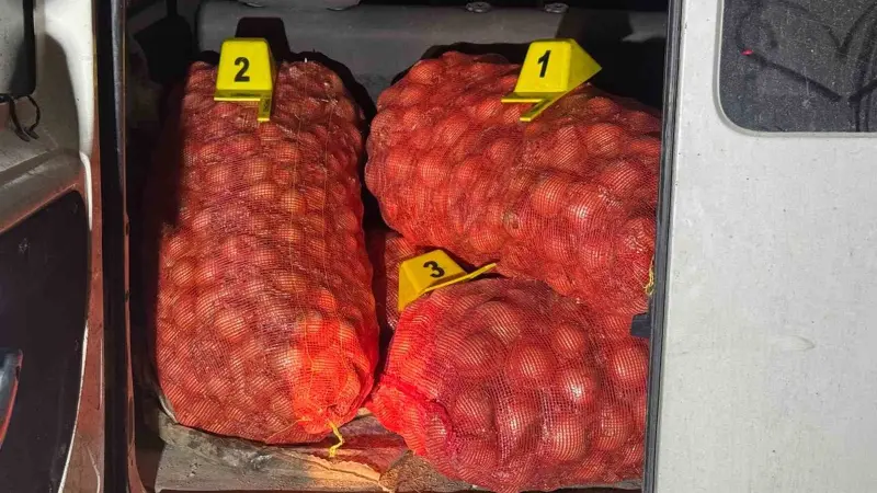 Jandarma soğan hırsızlarını suçüstü yaptı