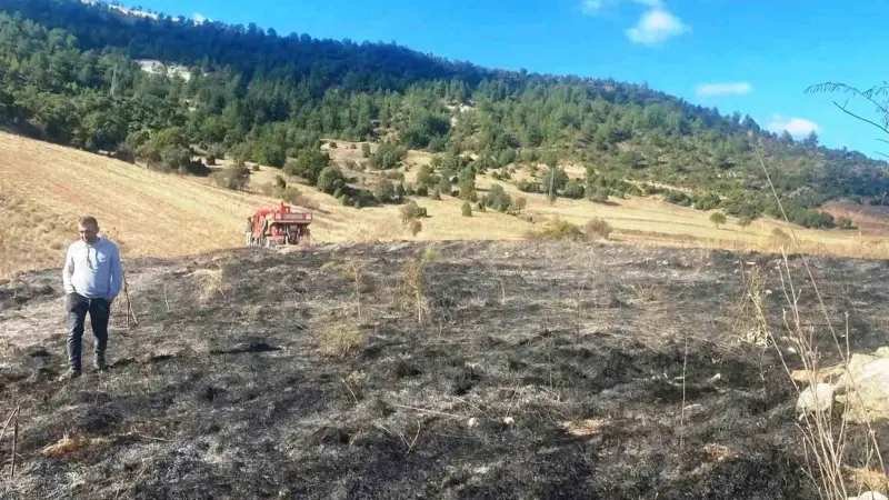Emet’te ot yangını: 2 dekar alan zarar gördü
